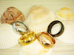 珠寶飾品行業(yè)情人節(jié)專場秀 璀璨獻(xiàn)禮，展示產(chǎn)品贏豐厚獎勵