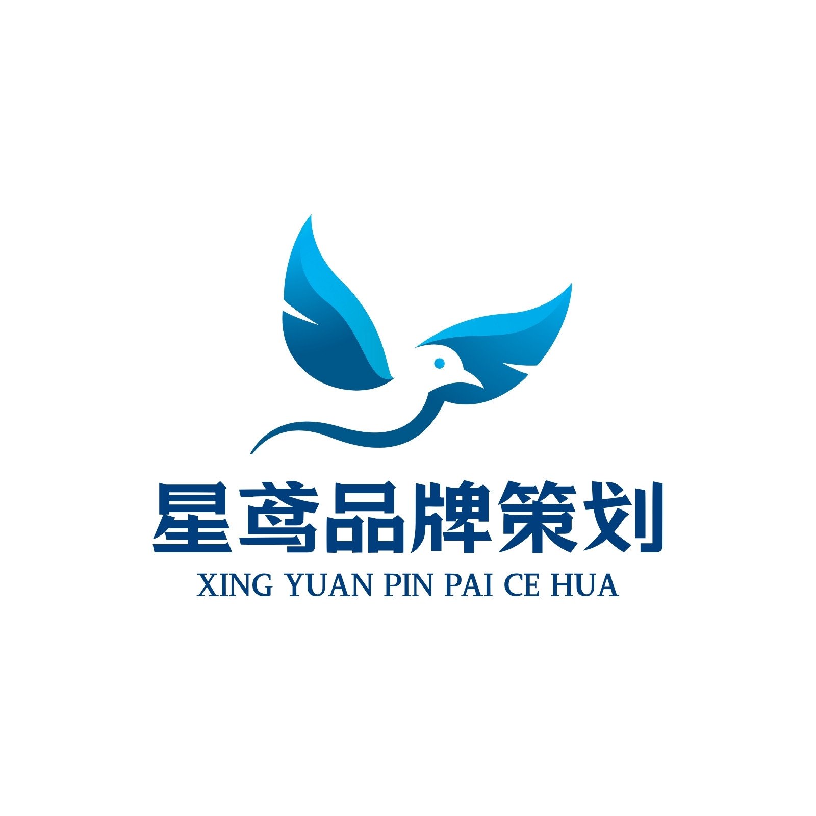 藍(lán)色卡通星鳶 品牌策劃的靈魂繪夢(mèng)師